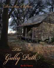 The Gully Path